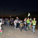 신기방기 이미지