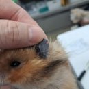 예술가의집 세미나2실 이미지