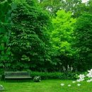 예쁜행복 이미지