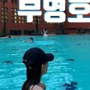 부영2공원 이미지