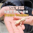 안양 엔터식스 파충류샵 분양 후기🦎 졸업 선물은 도마뱀?!