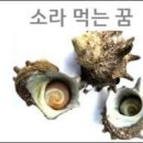 소라 Daum카페