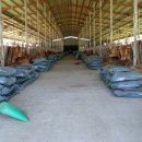 정수축산 이미지