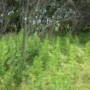 현재농장 이미지