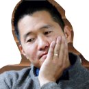 댕댕마실 이미지