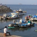 방아머리로 이미지