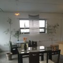 산호애견 이미지