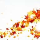 가을바람 이미지