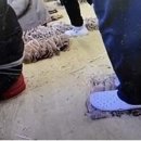 영덕수산물건조 이미지