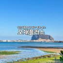 성산힐링펜션&게스트하우스 | 제주도 펜션 추천 제주 동쪽 성산 숙소 독채 오채플러스