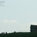 정경목장 이미지