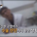 아이사랑동물병원 이미지