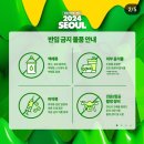 우두2통 | 워터밤 가서 고생 안 하고 즐기는 꿀팁 feat. 2024 서울 워터밤