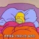 미스터브레드(Mr.Bread) | [호치민 무이네 여행 2탄]무이네 보케거리 해산물맛집 미스터크랩 신밧드케밥