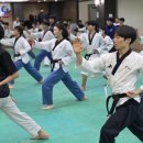 경희대 향남태권도 네이버블로그