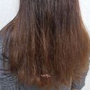 시흥 미용실 머리잘하는곳 로이드밤 시흥정왕점