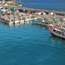 동해 태양광발전소 이미지