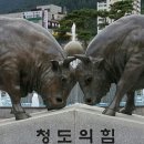 청도읍사무소 이미지