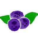 가평 시골집 이미지