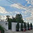 오늘여기 | 전주 근교 카페 김제 오늘 여기 말차라떼 수제밀크티 후기