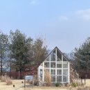 에덴 | 이천 에덴파라다이스 카페 추천, 티하우스 에덴 후기 (주차/메뉴/투숙객 할인)