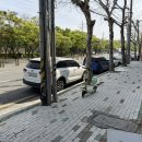 연세의원 | 대구 다이어트 병원,대곡 연세의원후기&amp;가격