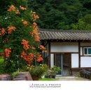 새재골가든 이미지