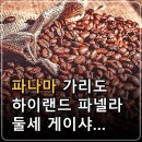 파나마 가리도 하이랜드 파넬라 둘세 게이샤 워시드 커피원두 FAQ 이미지