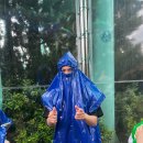 스테이 수궁 이미지