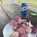 낙동강수련원 카라반 이미지