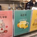 에쏠로지카페 이미지