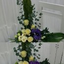 금왕한의원 이미지