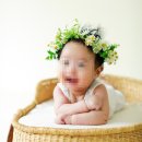 창원 아기 사진 베일리수 50일 촬영 내돈내산 롤롤스튜디오 비교 후 성장앨범 최종 선택한 솔직후기