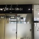 데일리아이래쉬 이미지