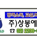 더에스디