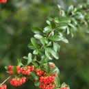 시낭송과 그림책 테라피 이미지