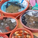 종진수산 네이버블로그