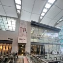 [고양 미용실] 머리 관리 어려운 분들!!! 아이디헤어 스페셜 웨스턴돔점 히피펌 후기
