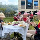 올리브케어 이미지