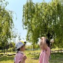 심곡본동어린이집 이미지