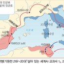 피네네일 이미지