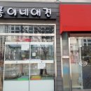 퐁이네 애견 이미지