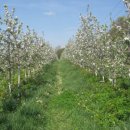 한누리농장 이미지