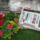 흥덕신동아박사공인중개사사무소 이미지