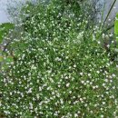 황등목장 이미지