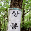 충렬주유소 | 한남정맥 제1구간 칠장사에서 두창리고개까지 산행후기