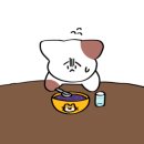 베를린 동물치과센터 이미지