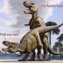 새턴 PC방 이미지