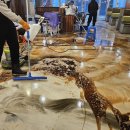 작전동전문음식점 이미지