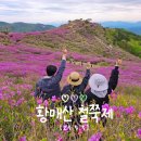 2025년 황매산 철쭉제 후기 경남 봄꽃 명소에서 힐링